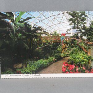 Vintage Postcard - Crystal Gardens Botanical Area - Peacock Postcards